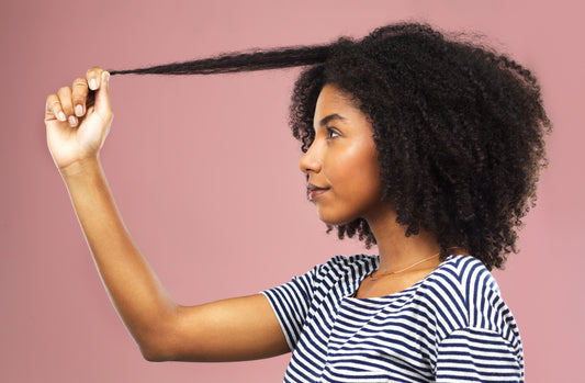 Hair Loss vs Hair Breakage