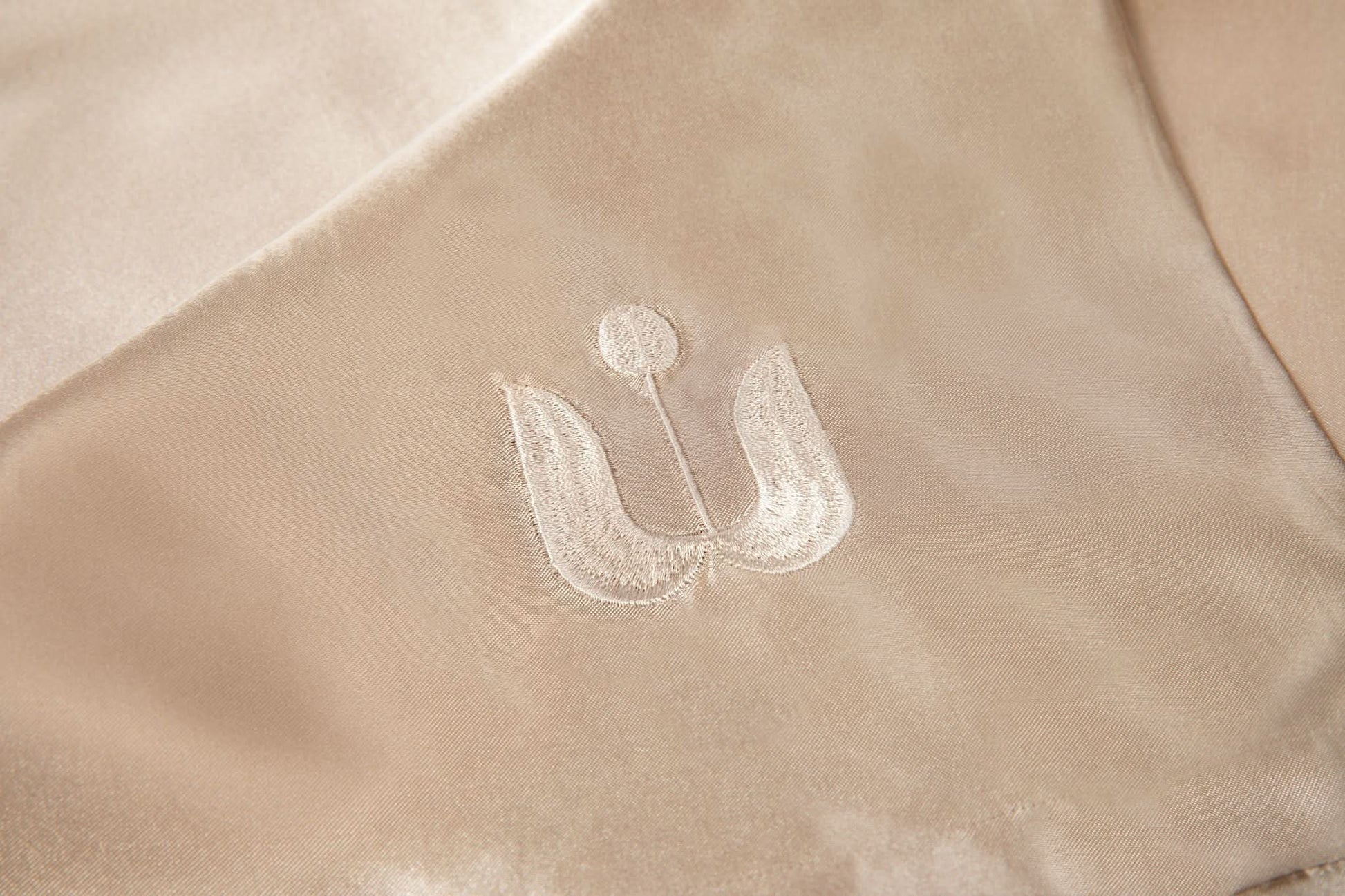 Satin Pillowcase Frizz-Free Sleep